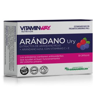 Suplemento Dietario Vitamin Way Arandano Ury 35 g x 30 un