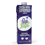 jugo-exprimido-pura-frutta-de-manzana-y-arandano-x-1-l