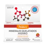 suplemento-dietario-pure-wellness-hierro-complex-x-30-un