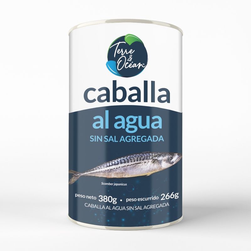 caballa-terre-ocean-al-agua-sin-sal-agregada-x-380-g