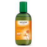 fitoshampoo-suavizante-weleda-calendula-x-250-ml