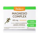 230881-magnesio-complex-pure-wellness-x-30-comp